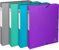 Exacompta 59640E Füzetbox  karton teksto a/4 40 mm gerinccel vegyes színek kép