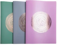 Exacompta 85690E Bemutatómappa  ellipse a/4 20 részes pp vegyes színek kép