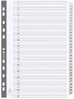 Exacompta MWD1-31Z Regiszter karton  a/4 31 részes fehér kép