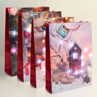 Family 58327 Ajándéktasak - 10 hidegfehér led, papír - 330 x 102 x 457 mm - 4 féle / csomag () kép