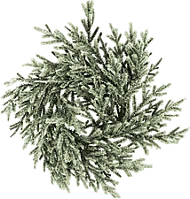 Family 58530B Karácsonyi dekoráció, koszorú, havas, 27 cm, zöld (58530b) kép