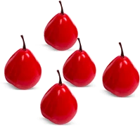 Family 58550 Karácsonyi dekoráció, piros gyümölcs, 6 cm, 5 db / csomag (58550) kép