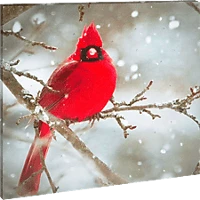 Family 58478 Led-es fali kép, vörös pinty, 30 x 30 cm, 20 led, hidegfehér (58478) kép