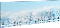 Family 58480A Led-es fali kép, téli táj, 70 x 30 cm, 30 led, hidegfehér (58480a) kép