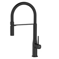 Fekete BAP_B78D-M Laveo pola álló csaptelep rugalmas kiömlővel matt  csomagolás nélküli kép