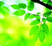 Fellowes COR_IFW59038 Egéralátét, újrahasznosított,  