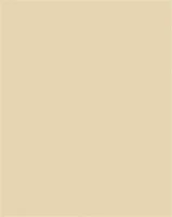 Folia 61221010 Dekorkarton, 2 oldalas, 50x70cm, 220 g, 10 lap, bézs kép