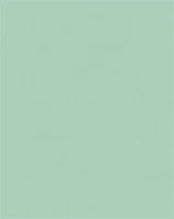 Folia 61221025 Dekorkarton, 2 oldalas, 50x70cm, 220 g, 10 lap, menta kép
