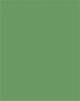 Folia 61221053 Dekorkarton, 2 oldalas, 50x70cm, 220 g, 10 lap, mohazöld kép