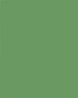 Folia COR_FL61221053 Dekorkarton, 2 oldalas, 50x70cm, 220 g, 10 lap, mohazöld kép