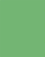 Folia COR_FL61221054 Dekorkarton, 2 oldalas, 50x70cm, 220 g, 10 lap, smaragdzöld kép