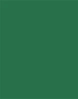 Folia COR_FL61221058 Dekorkarton, 2 oldalas, 50x70cm, 220 g, 10 lap, fenyőzöld kép