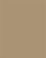 Folia COR_FL61221075 Dekorkarton, 2 oldalas, 50x70cm, 220 g, 10 lap, őzbarna kép