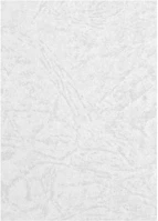 Forpus FO93231 Hátlap  a/4 230 g matt bőrhatású fehér 100/dob kép