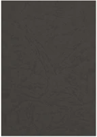 Forpus FO93232 Hátlap  a/4 230 g matt bőrhatású fekete 100/dob kép