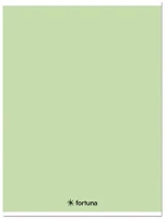 Fortuna 01.08660 Füzet kockás  monocolor a/4 32 lapos 87-32 pasztell zöld kép