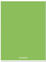 Fortuna 01.08664 Füzet kockás  monocolor a/4 32 lapos 87-32 zöld kép