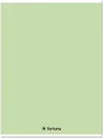 Fortuna 01.08672 Füzet kockás monocolor a/5 32 lapos 27-32 pasztell zöld kép