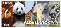 Fortuna HOLDFÁZISSAL NAPTÁRHÁTTAL 2026 Asztali naptár képes kép