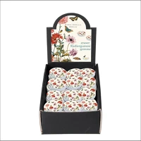 Fridolin 43137 Radír  maria sibylla merian kép