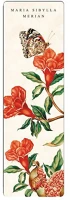 Fridolin 67491 Könyvjelző  maria sibylla merian 'gránátalma' kép