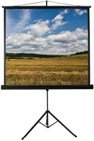 Funscreen 1:1 200CM×200CM Hordozható vászon tripod 200x200 cm kép