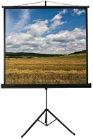 Funscreen FUN10430244 Tripod hordozható vetítővászon 4:3 183x244 cm kép