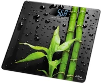 Gallet PEP953 Mérleg személy kép