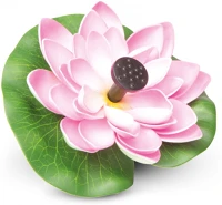 Garden of eden 11224B Szolár szökőkút - rózsaszín tavirózsa - 180 x 170 mm () kép