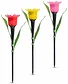 Garden of eden 11750 11750 led-es szolár tulipánlámpa, sárga / piros / rózsaszín, 1 db kép
