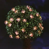 Garden of eden 55218C Szolár fényfüzér - virág - 2,4 m - 25 melegfehér led kép