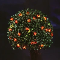 Garden of eden 58220B Szolár led fényfüzér - katicabogár - 2,4 m - 25 led - melegfehér kép