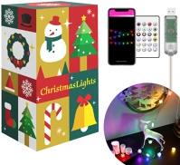 Garden of eden 58381A Smart fényfüzér - hópehely - usb - 20 db rgbic led - 2 m - bluetooth () kép