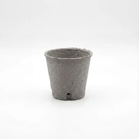 Garden of eden PAPÍRCSERÉP Ø8 CM Papírcserép ø8 cm - palántanevelő cserép - 10 db / csomag kép