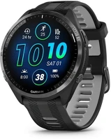 <span itemprop='brand'>Garmin</span> <span itemprop='sku'>010-02809-10</span>