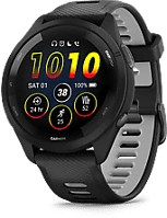 <span itemprop='brand'>Garmin</span> <span itemprop='sku'>010-02810-10</span>