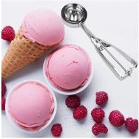 Globiz 32813-1 Family springos fagylalt kanál, 21x4.1 cm, rozsdamentes acél, ezüst kép