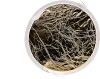 Godox 8718485915918 Inner reflector - gold /silver kép