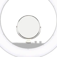 Godox FOR LR160 AND LR180 Mirror for lr160 and lr180 kép