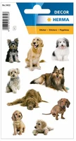 Herma 3432 Dekormatrica  kutya kép