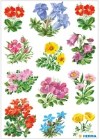 Herma 3582 Dekormatrica  mezei virágok kép