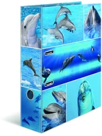 Herma D018DELFINROB Iratrendező a/4 70 mm gerinccel delfin kép