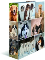 Herma D18KUTYASROB Iratrendező a/4 70 mm gerinccel kutyás kép