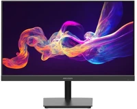 Hikvision DS-D5024F2-AP2 23,8