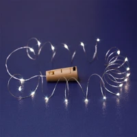 Somogyi MLD 20/WW Mikro led-es fényfüzér kép