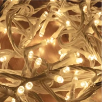 Home DLIC120WW sorolható cluster fényfüzér, 2,5 méter, 120db melegfehér led, fehér kép