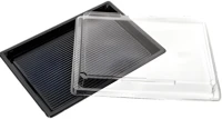 Horeca 50/400 Sushi tálca tetővel 185x130x20 (50/400) kép