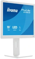 Iiyama B1980S-W1 Prolite monitor - 19