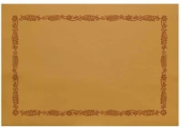 Infibra DA503XSZADI0793N Tányéralátét  30x44 cm 500 darab/csomag kép
