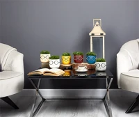 Iris E5670 Szemüveges fej dekoráció művirággal egyszínű cserépben 10x14cm kép